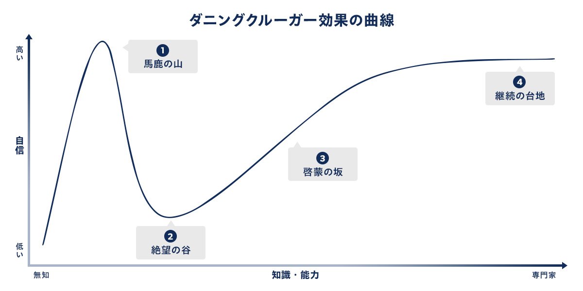 ダニングクルーガー効果の曲線