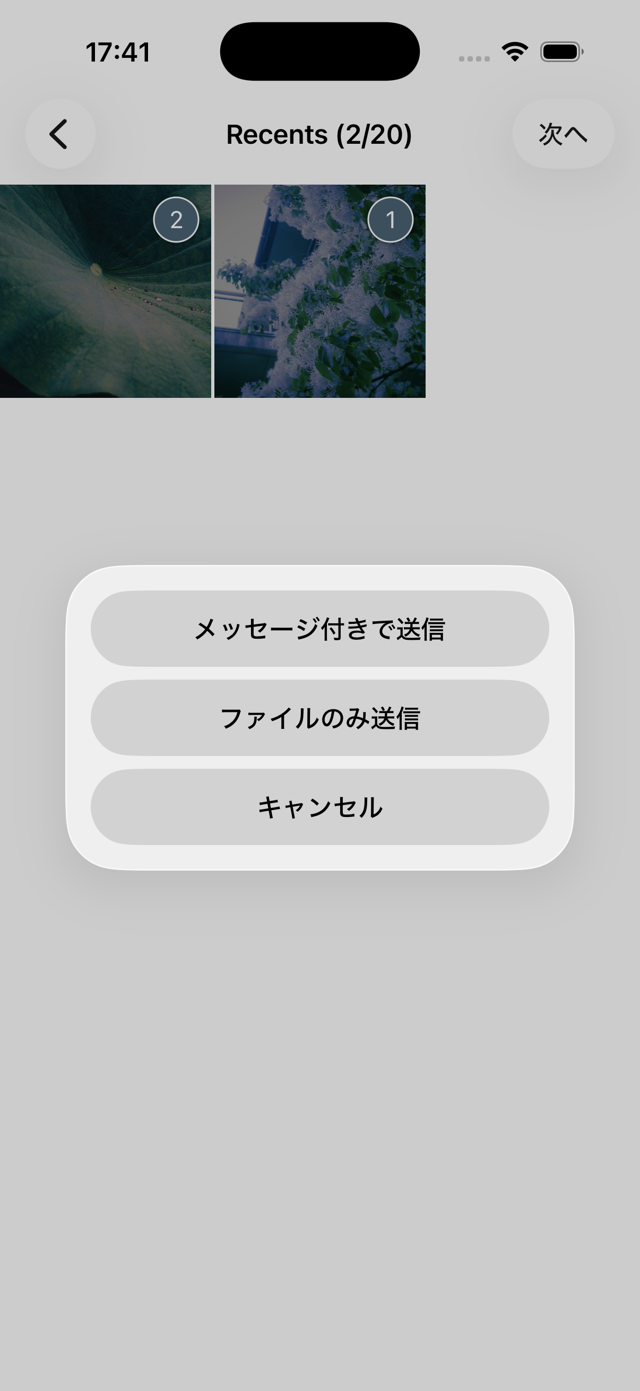 写真・動画選択後に表示される送信方法のアクションシート（iOS版）