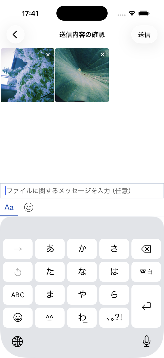 写真・動画にメッセージを添えて送信する画面（iOS版）